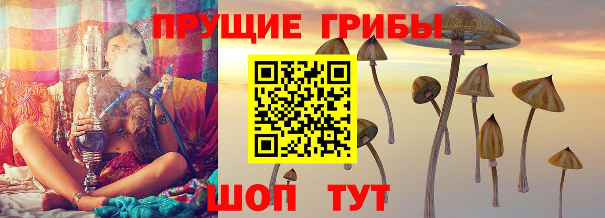 Галлюциногенные грибы мицелий  Вход с VPN  Кизилюрт 