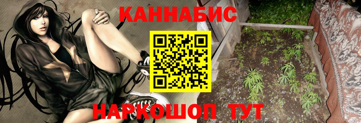 Конопля марихуана Кизилюрт